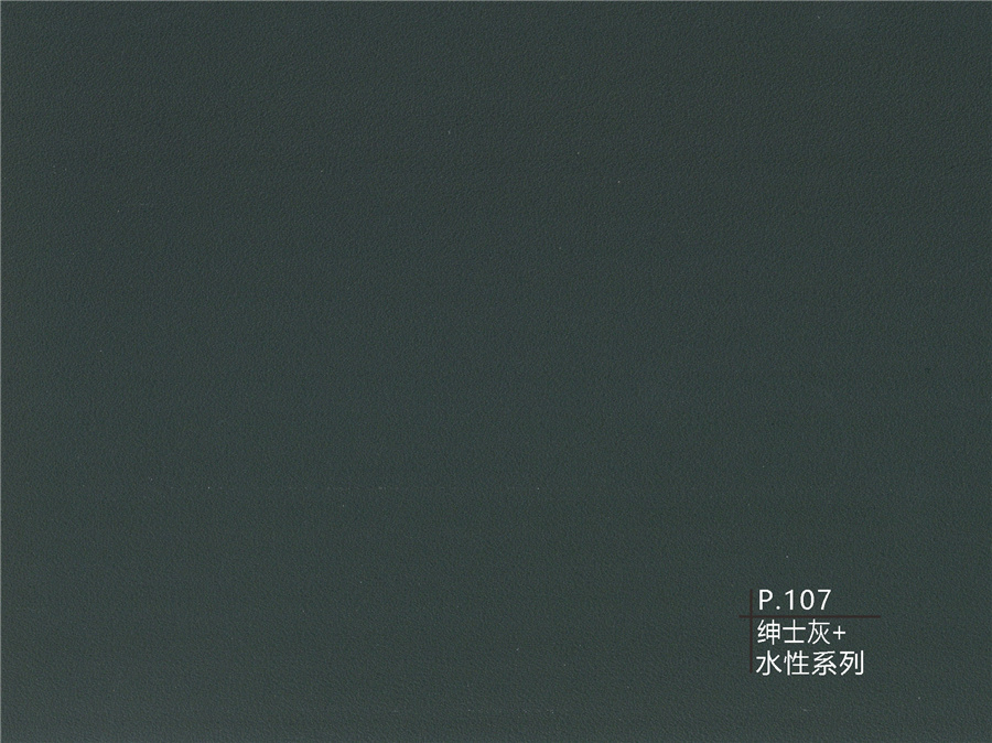 107紳士灰+水性系列